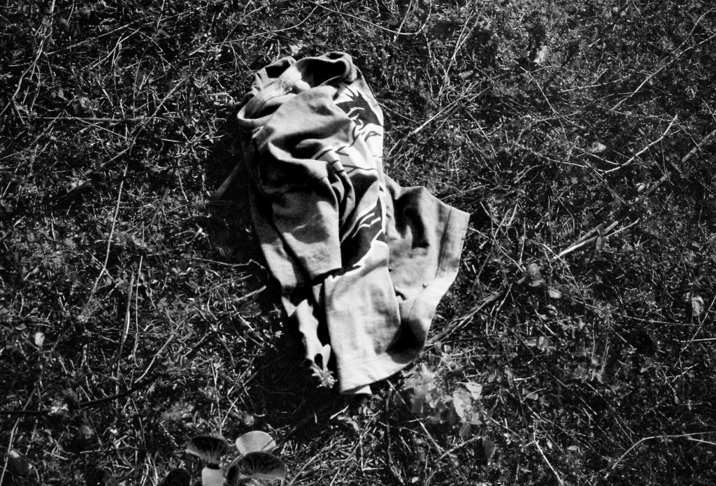 Ninguém me ensinou a cozinhar&nbsp;imagem