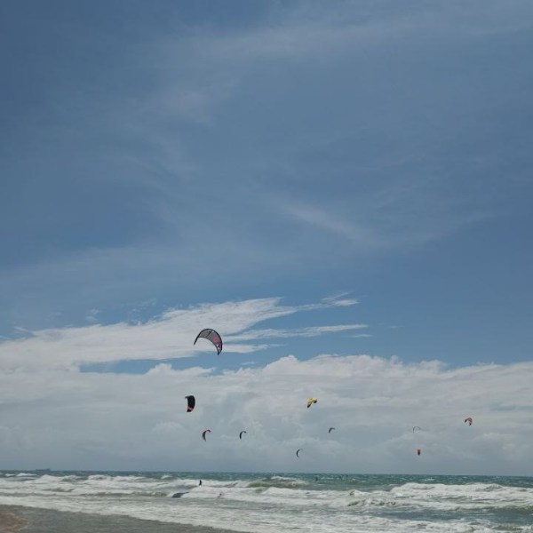 Carro branco ou reaprender os&nbsp;verbos
